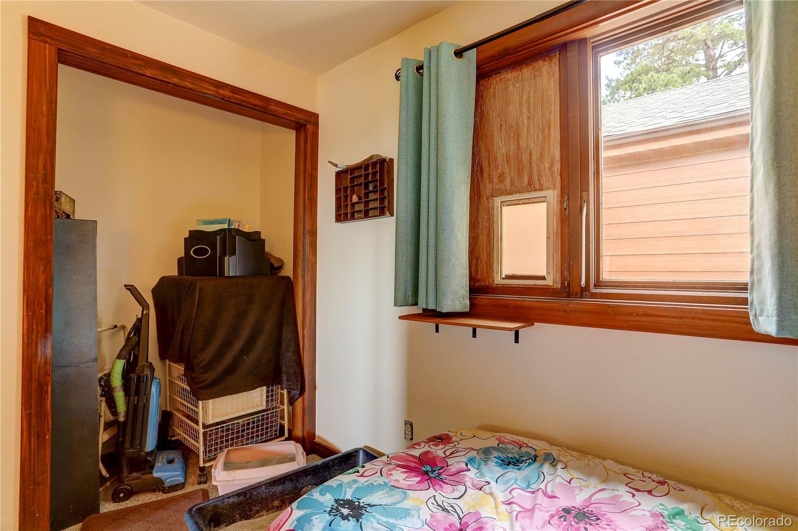 700 Rosalie Road Bailey, CO 80421 - Photo 16 of 38