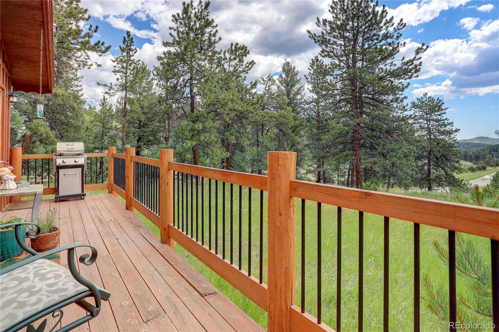 700 Rosalie Road Bailey, CO 80421 - Photo 20 of 38