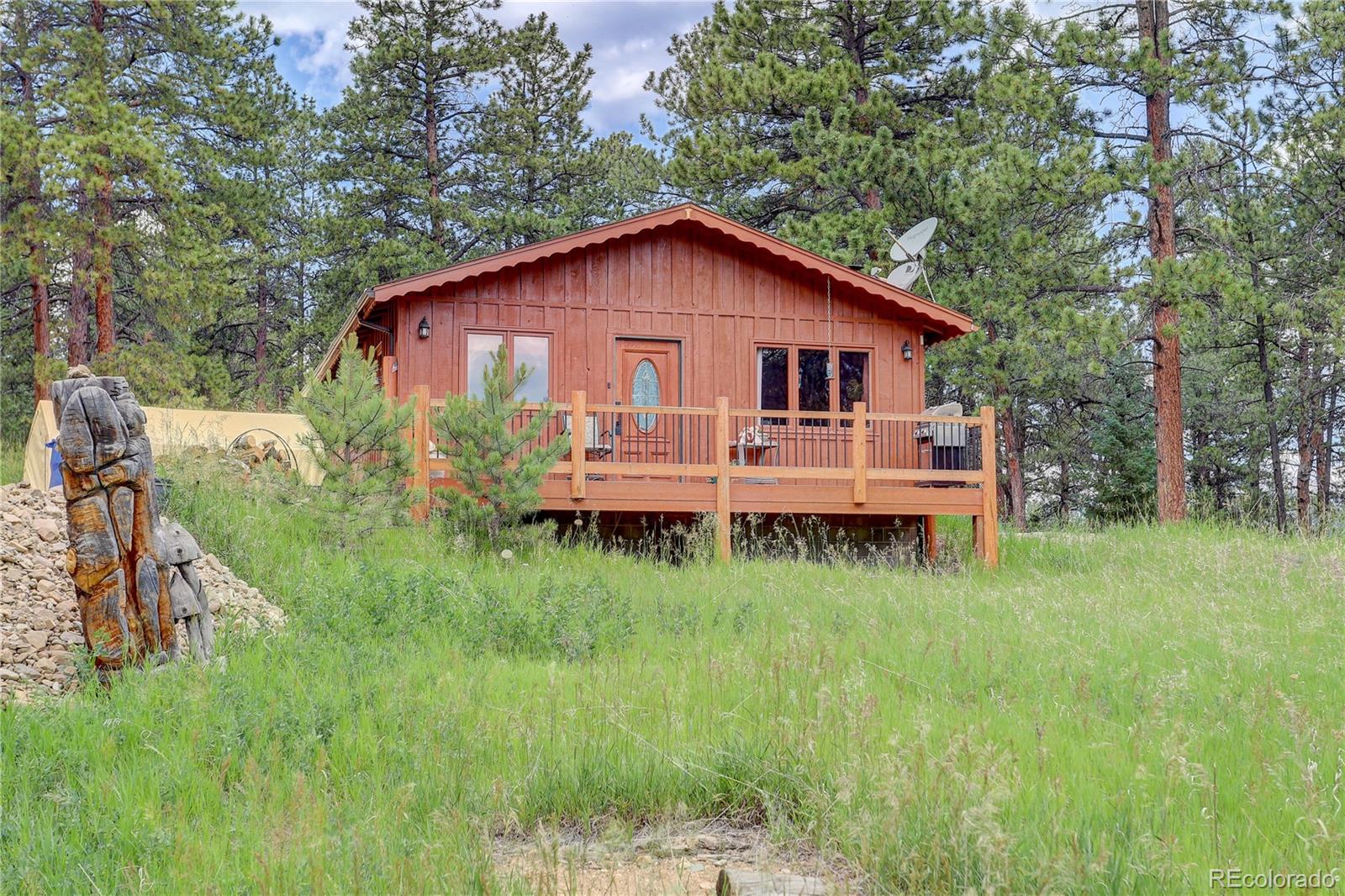 700 Rosalie Road Bailey, CO 80421 - Photo 22 of 38