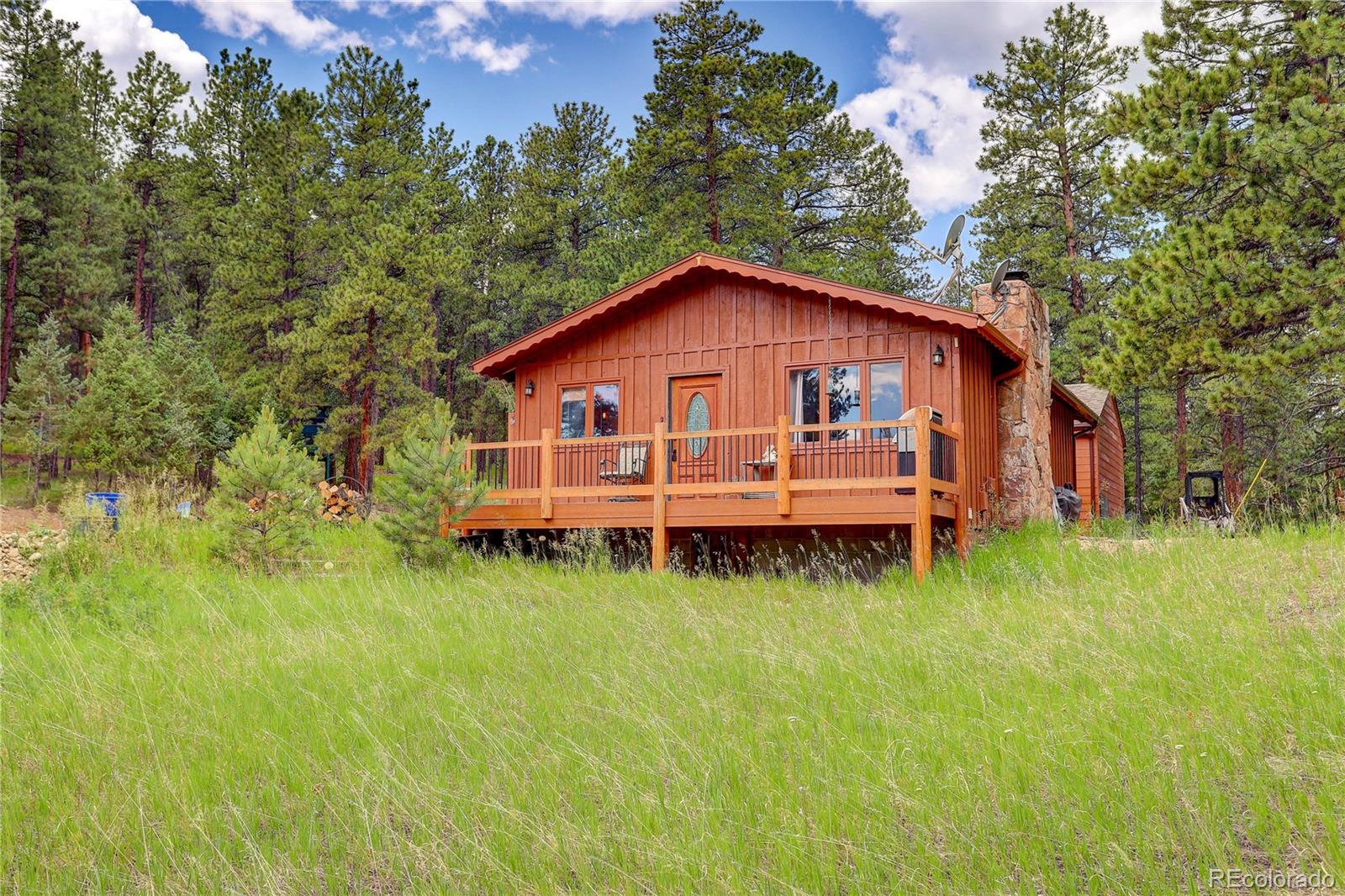 700 Rosalie Road Bailey, CO 80421 - Photo 23 of 38