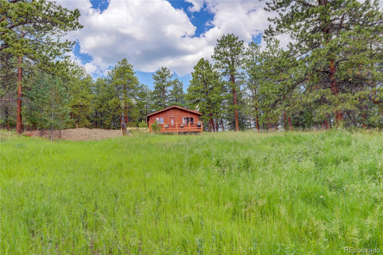 700 Rosalie Road Bailey, CO 80421 - Photo 25 of 38