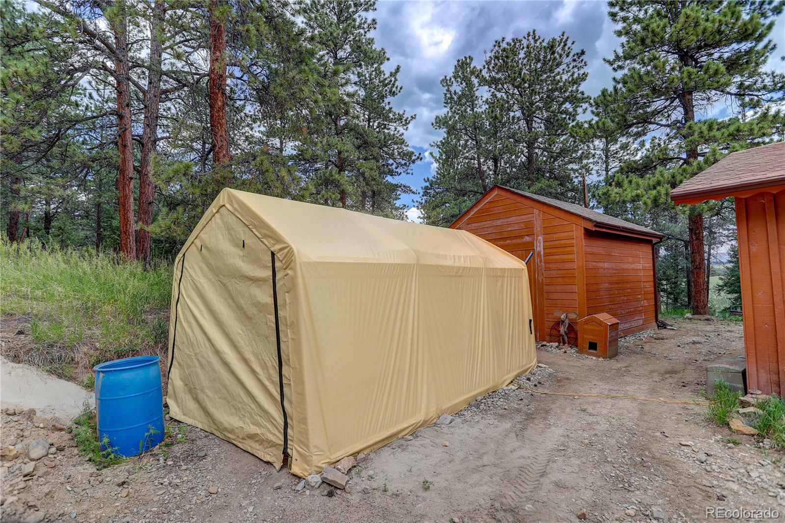 700 Rosalie Road Bailey, CO 80421 - Photo 27 of 38
