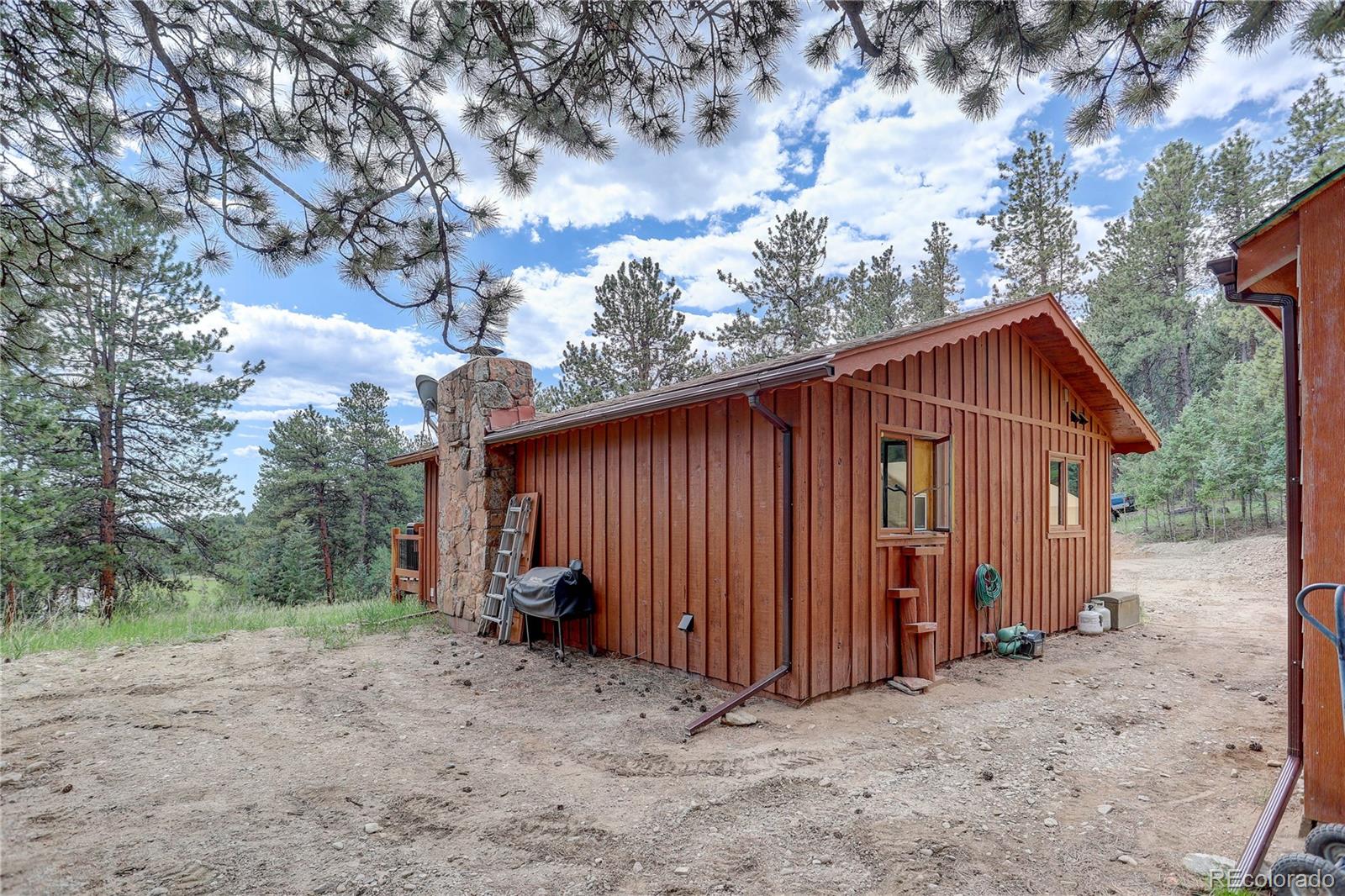 700 Rosalie Road Bailey, CO 80421 - Photo 28 of 38