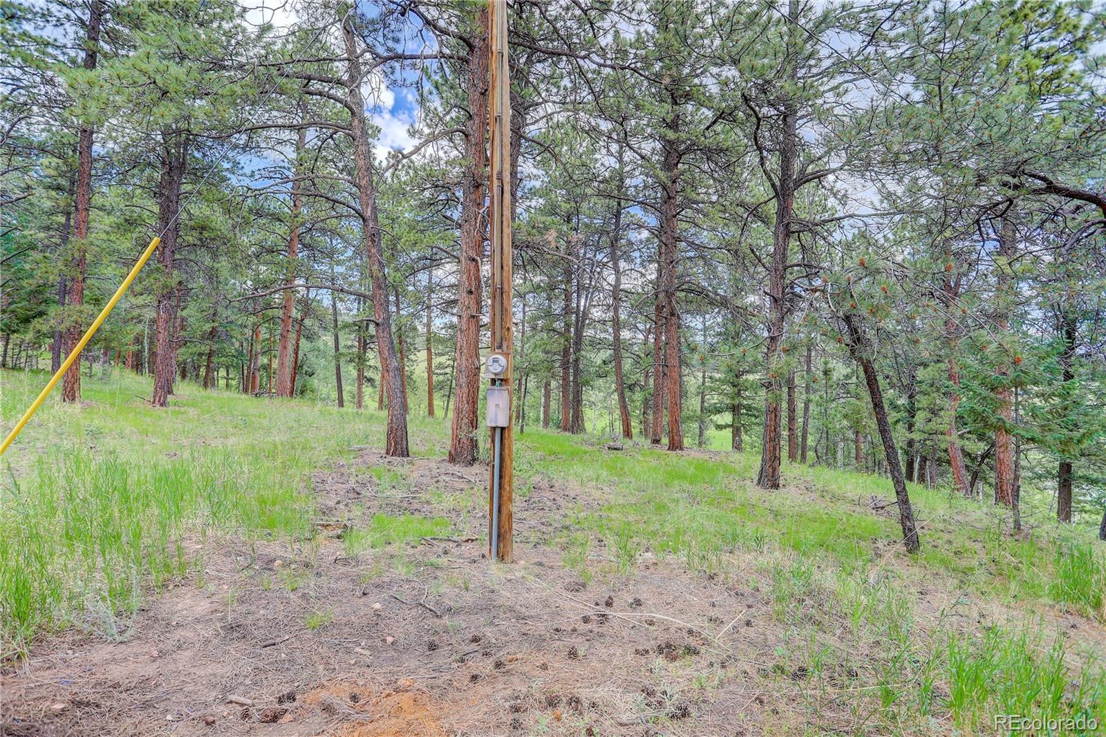 700 Rosalie Road Bailey, CO 80421 - Photo 31 of 38