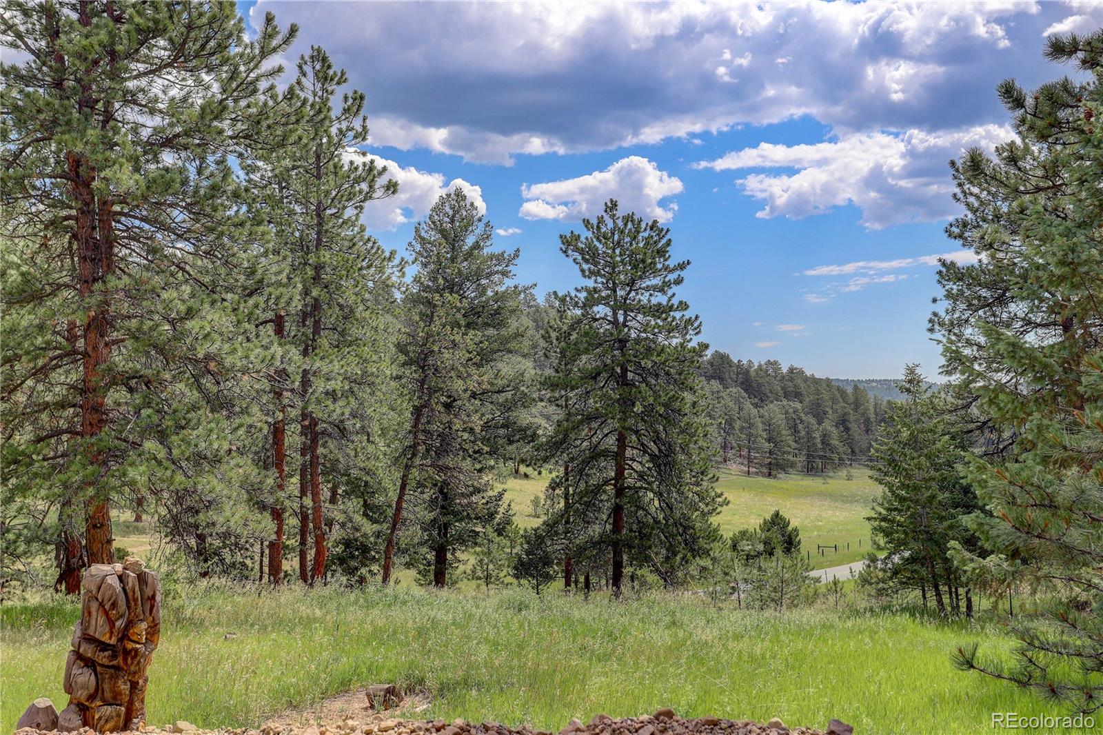 700 Rosalie Road Bailey, CO 80421 - Photo 32 of 38