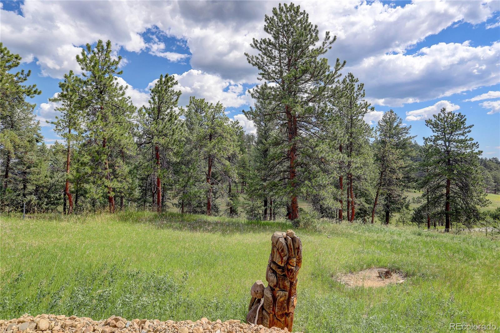 700 Rosalie Road Bailey, CO 80421 - Photo 33 of 38