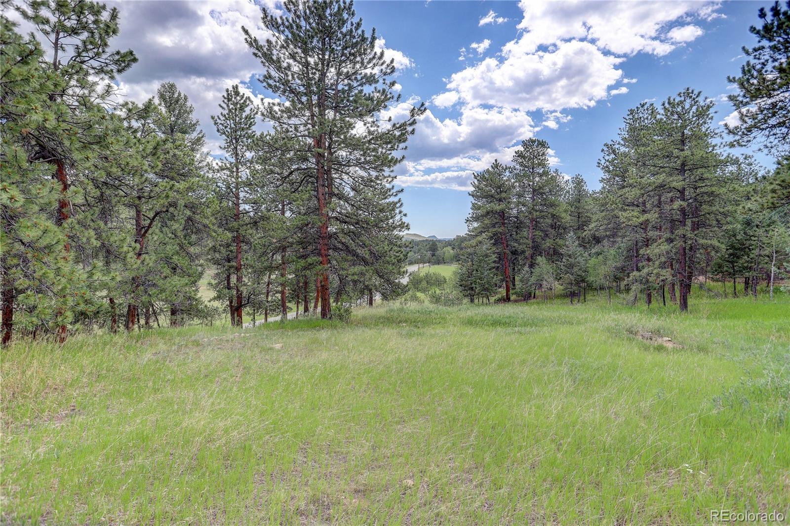 700 Rosalie Road Bailey, CO 80421 - Photo 34 of 38