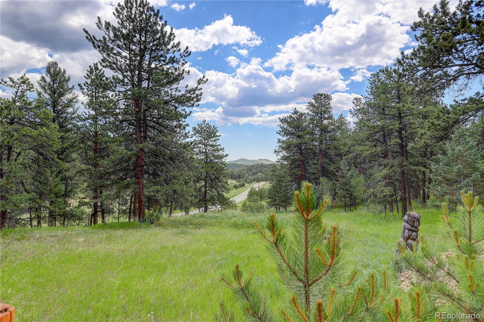 700 Rosalie Road Bailey, CO 80421 - Photo 35 of 38