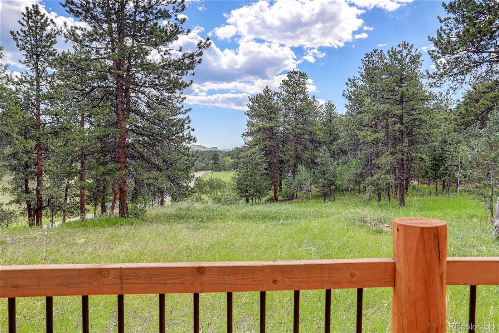 700 Rosalie Road Bailey, CO 80421 - Photo 36 of 38