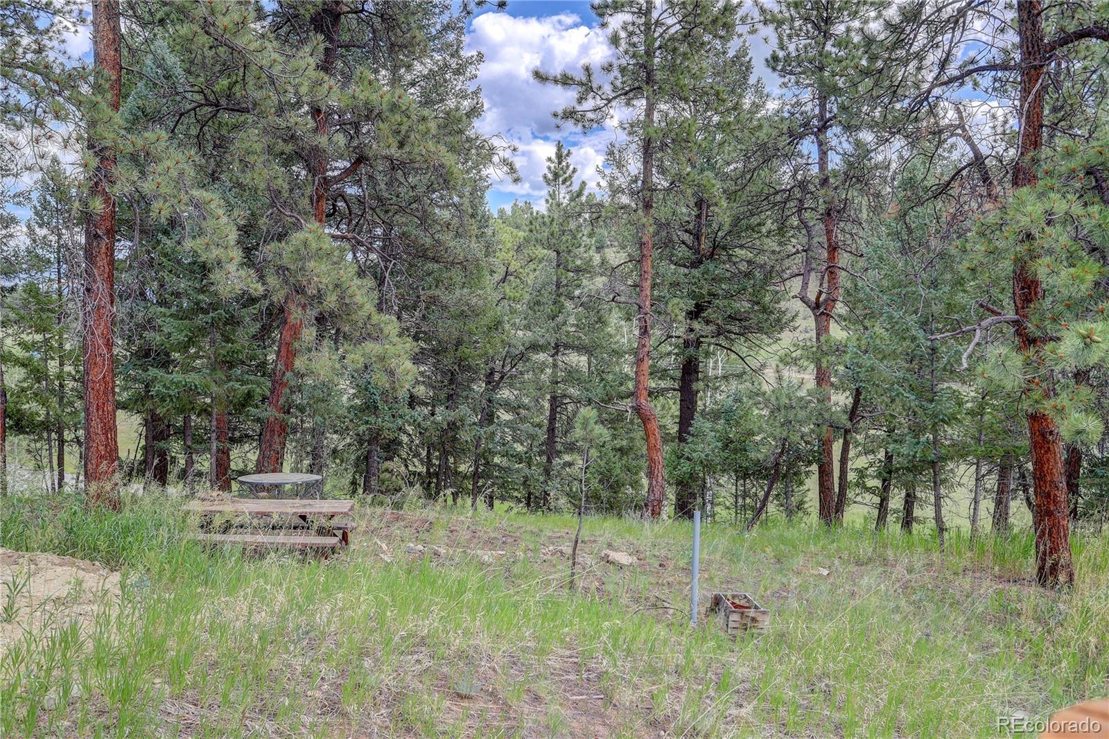 700 Rosalie Road Bailey, CO 80421 - Photo 38 of 38