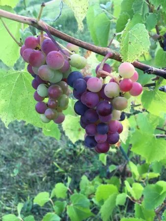 $600,000 | 4318 Valley Brook Road, Superior, WI 54880