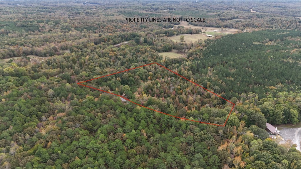 0 Liberty Road Camden, TN 38320 - Photo 2 of 11 a view of a forest with a street