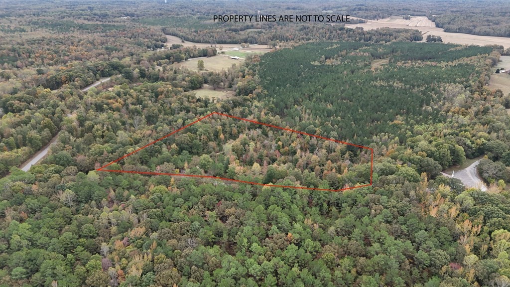 0 Liberty Road Camden, TN 38320 - Photo 3 of 11 a view of a forest with a street