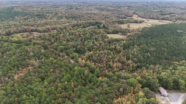 a view of a covered with trees