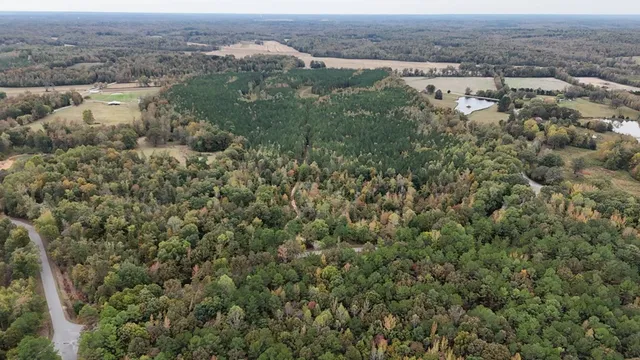 an aerial view of residential houses with outdoor space and trees