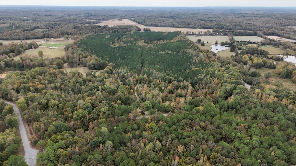 0 Liberty Road Camden, TN 38320 - Photo 5 of 11 an aerial view of residential houses with outdoor space and trees