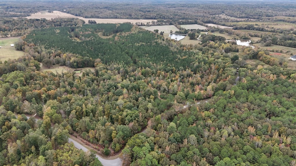 0 Liberty Road Camden, TN 38320 - Photo 6 of 11 a view of a green field