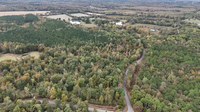an aerial view of forest