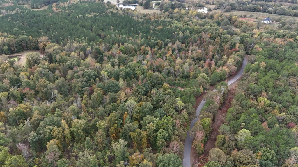 0 Liberty Road Camden, TN 38320 - Photo 8 of 11