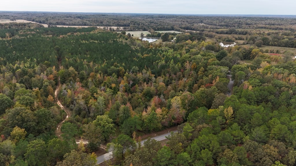 0 Liberty Road Camden, TN 38320 - Photo 9 of 11 an aerial view of forest
