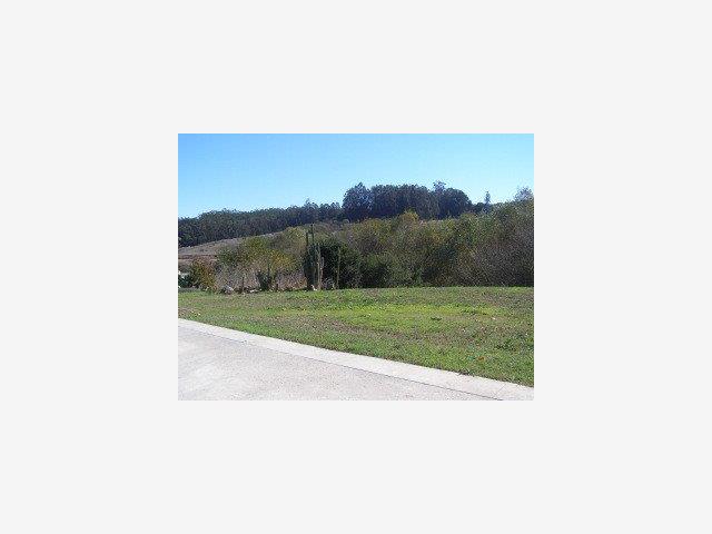 410 Berry Road Watsonville, CA 95076 - Photo 5 of 9 a picture of a bench in middle of a field