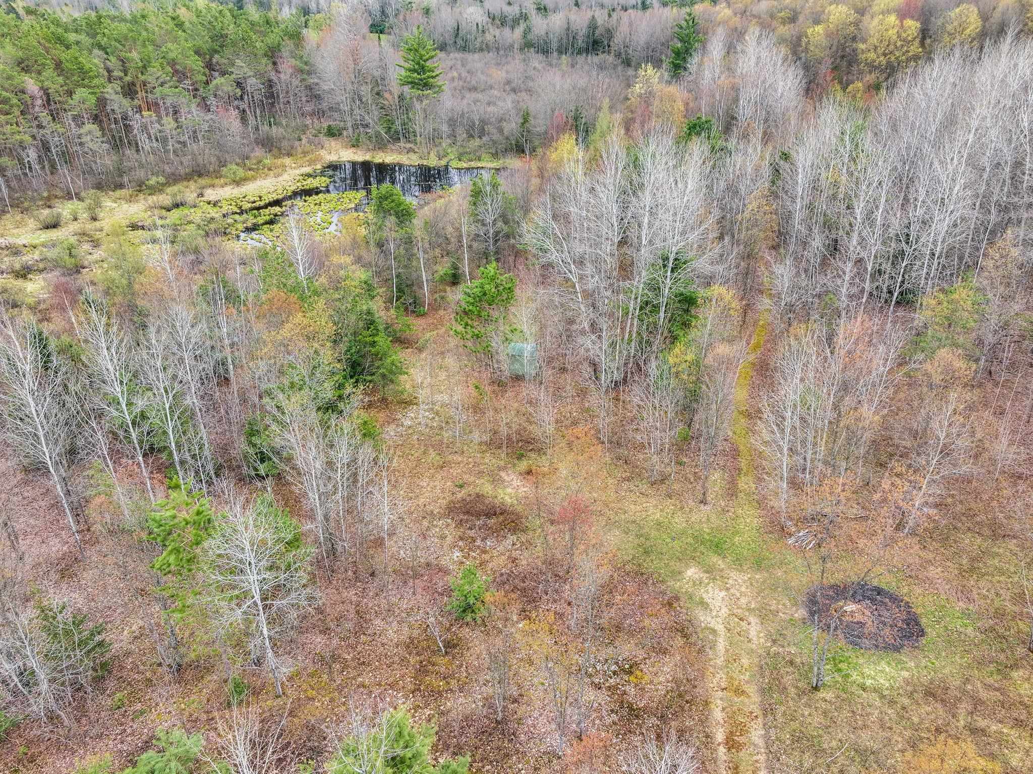 712 East 38 Road Cadillac, MI 49601 - Photo 18 of 67