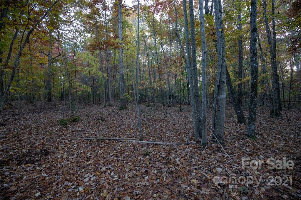 146 Dowell Road Olin, NC 28660 - Photo 14 of 23 Gallery Image 14