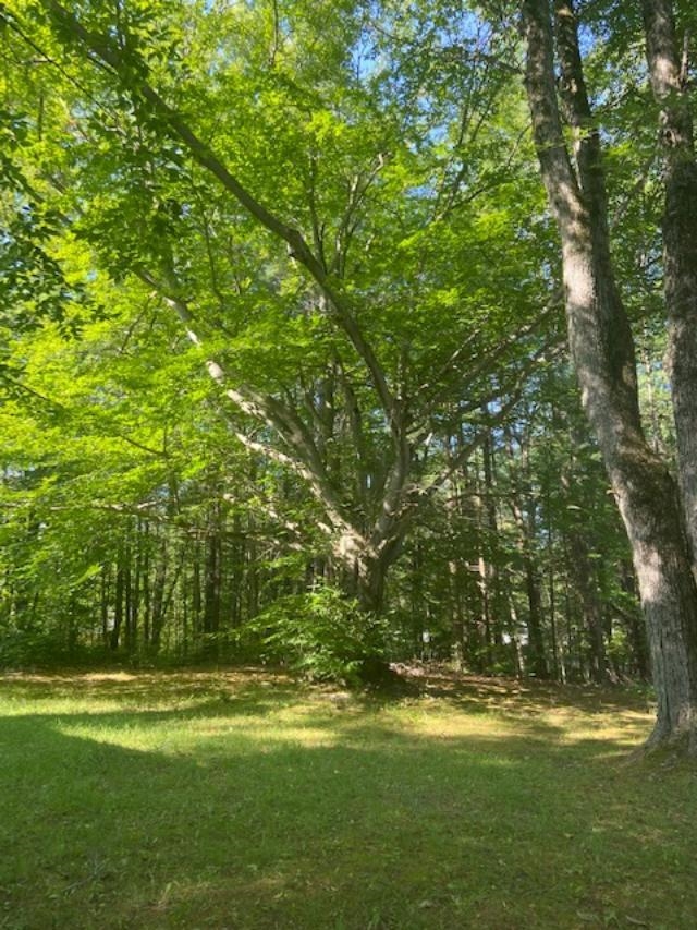4988 East Wilson Road Harrison, MI 48625 - Photo 9 of 16