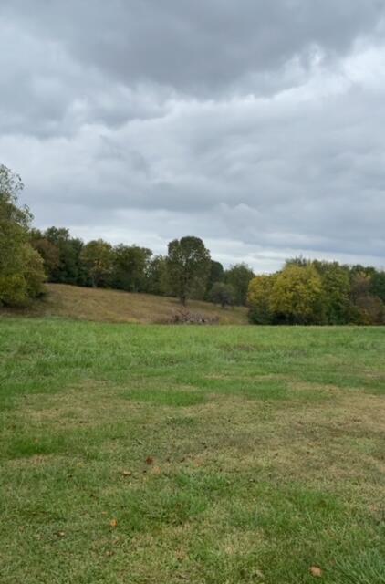 0 Davis Road Campbellsville, KY 42718 - Photo 5 of 18 IMG_0982