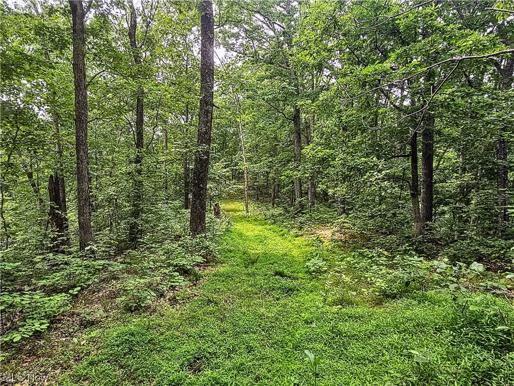 0 Buck Road Leon, WV 25123 - Photo 19 of 25
