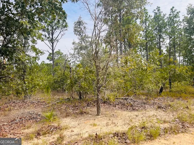 $44,850 | 375 Village Lane, Mauk, GA 31058