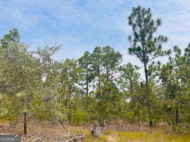 $44,850 | 375 Village Lane, Mauk, GA 31058