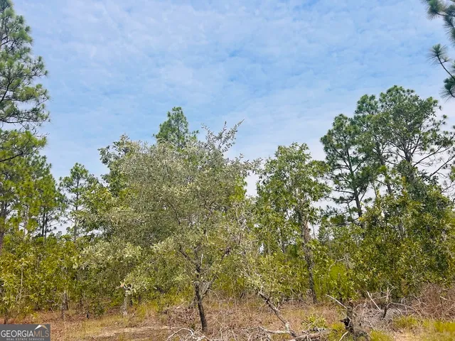 $44,850 | 375 Village Lane, Mauk, GA 31058