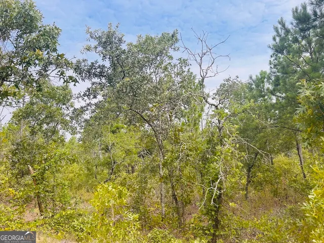 $44,850 | 375 Village Lane, Mauk, GA 31058