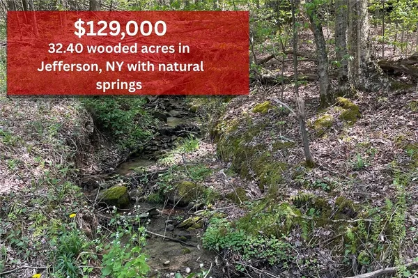 $129,000 | 1-20 Sternberg Road, Jefferson, NY 12093