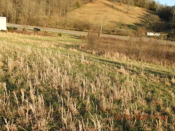 a view of a yard