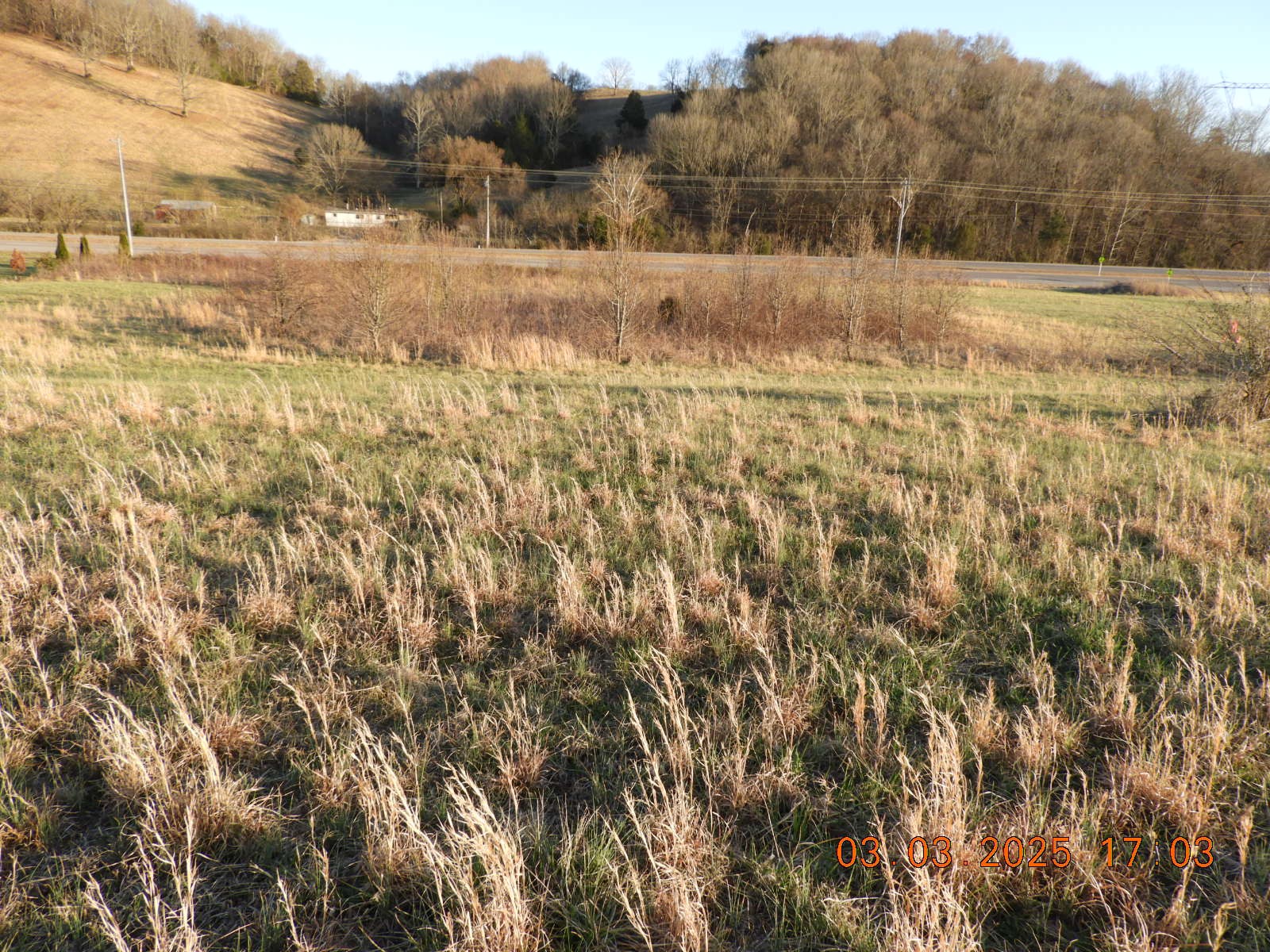 0 Pulaski Highway Frankewing, TN 38459 - Photo 3 of 9 a view of a lake view
