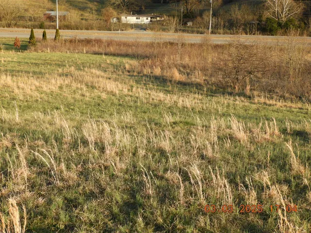 a view of a yard next to a yard