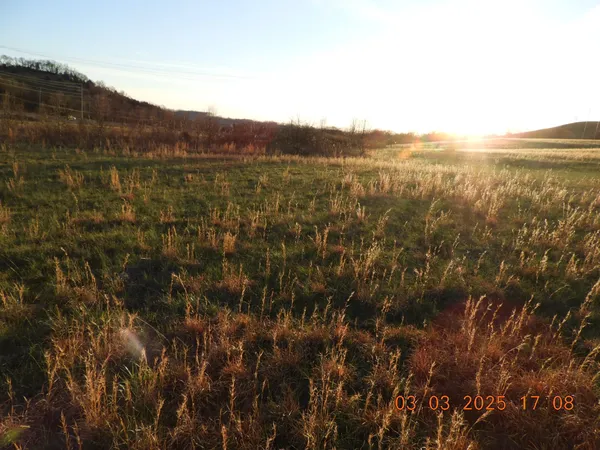 $100,000 | 0 Pulaski Highway, Frankewing, TN 38459