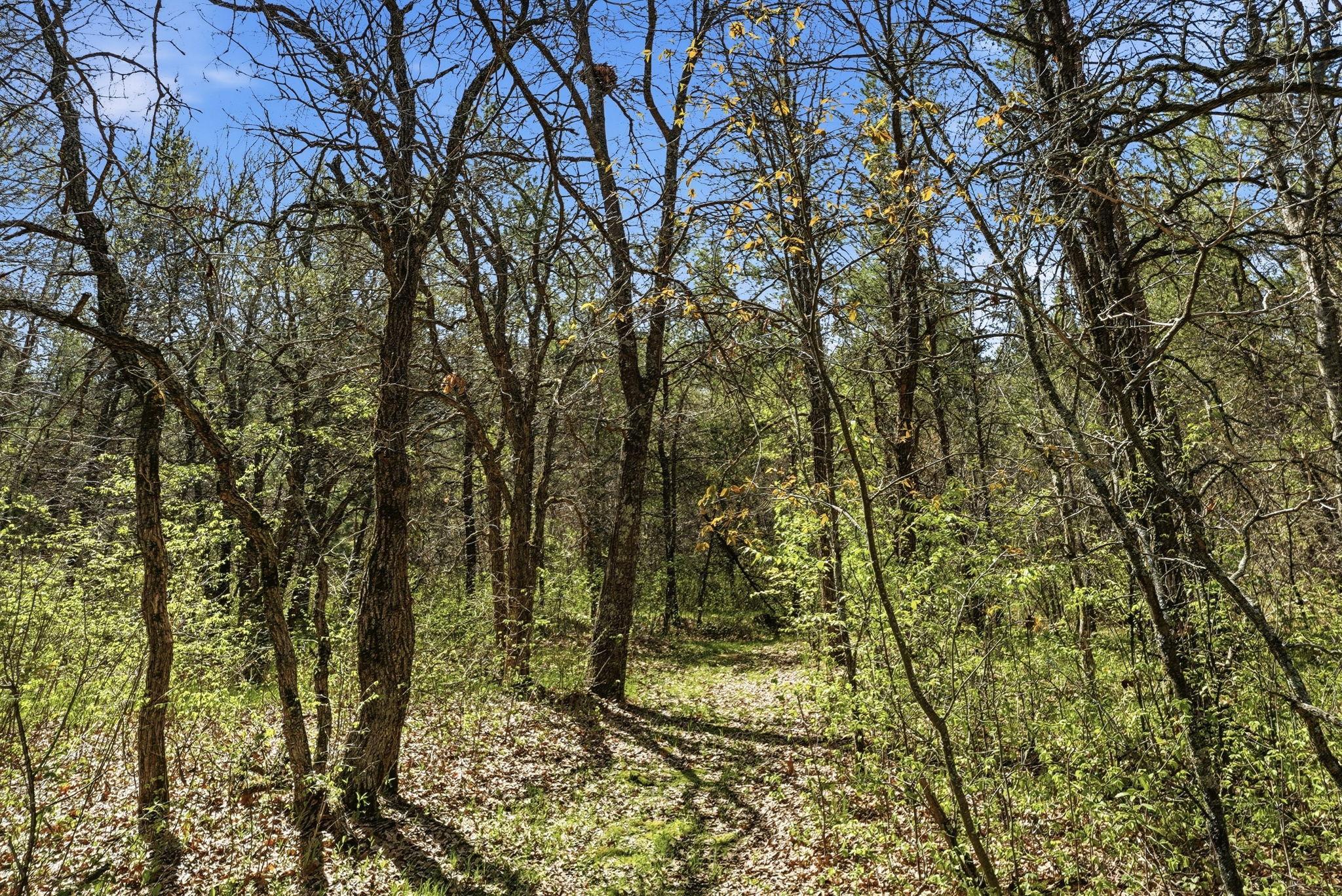 15077 Skog Road Grantsburg, WI 54840 - Photo 25 of 38
