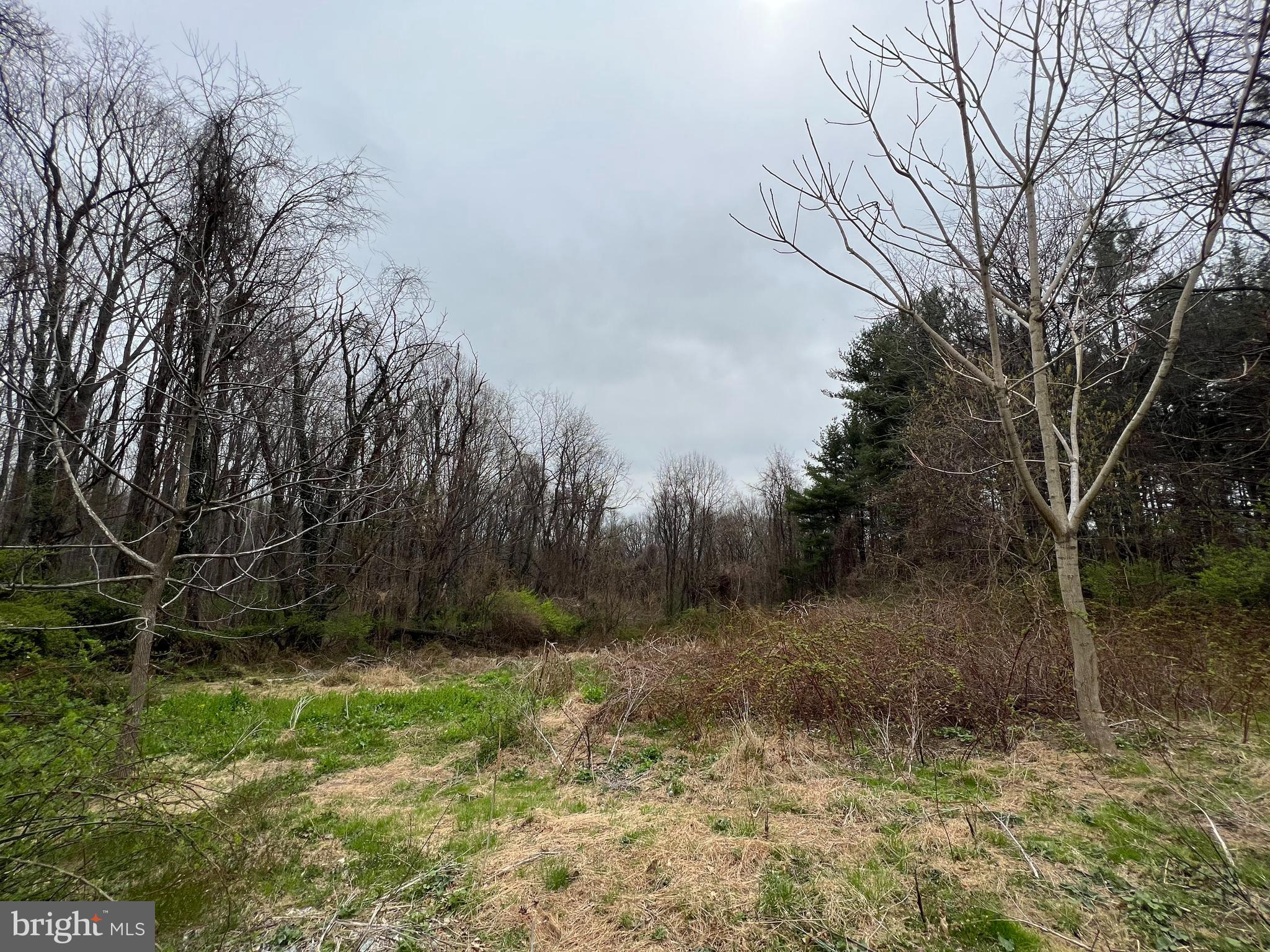 4330 Basford Road Frederick, MD 21703 - Photo 2 of 17