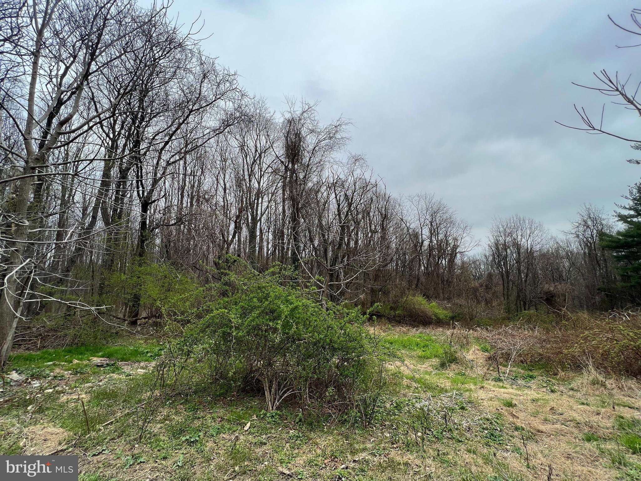 4330 Basford Road Frederick, MD 21703 - Photo 7 of 17