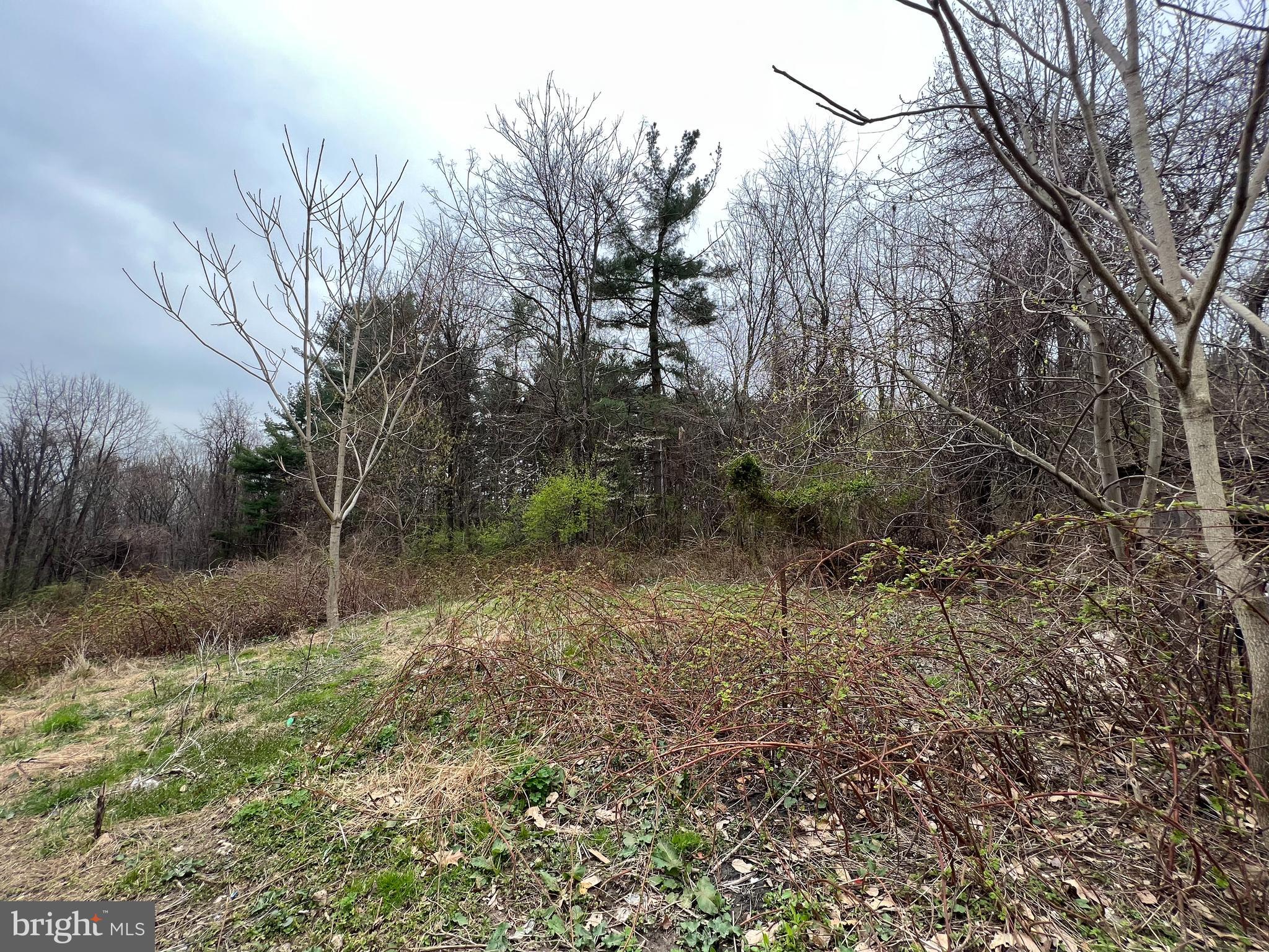 4330 Basford Road Frederick, MD 21703 - Photo 8 of 17