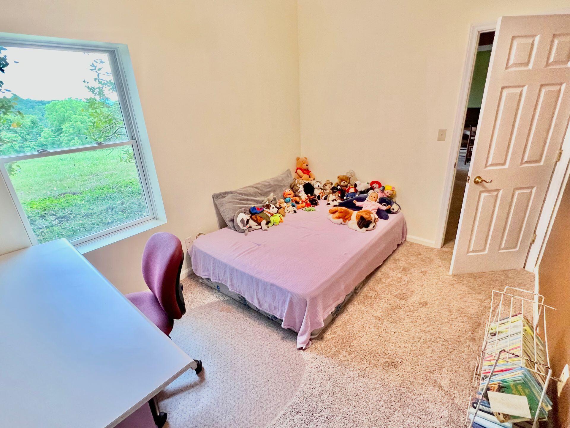 3171 Springwood Road Fincastle, VA 24090 - Photo 56 of 85 58