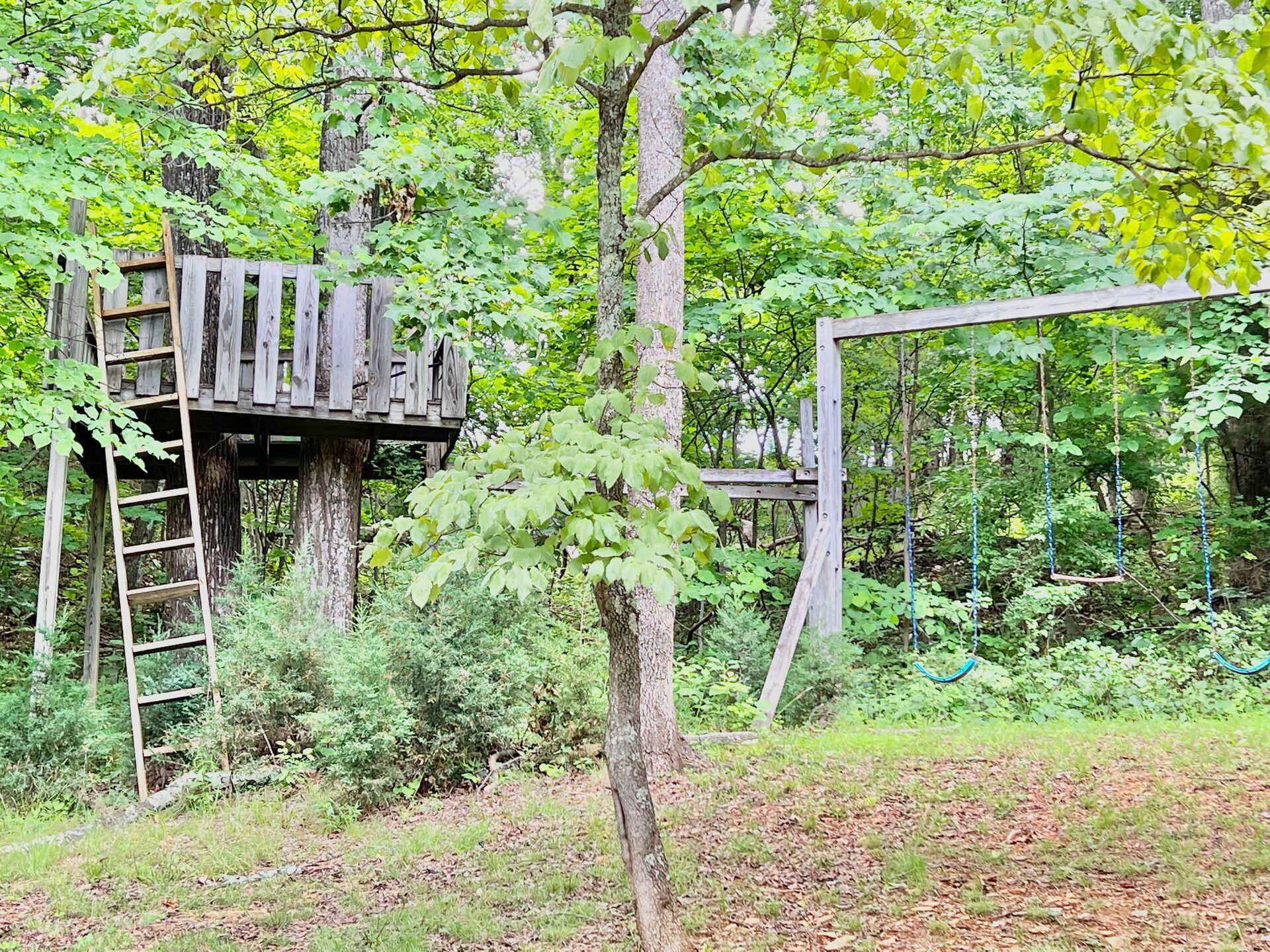 3171 Springwood Road Fincastle, VA 24090 - Photo 61 of 85 63