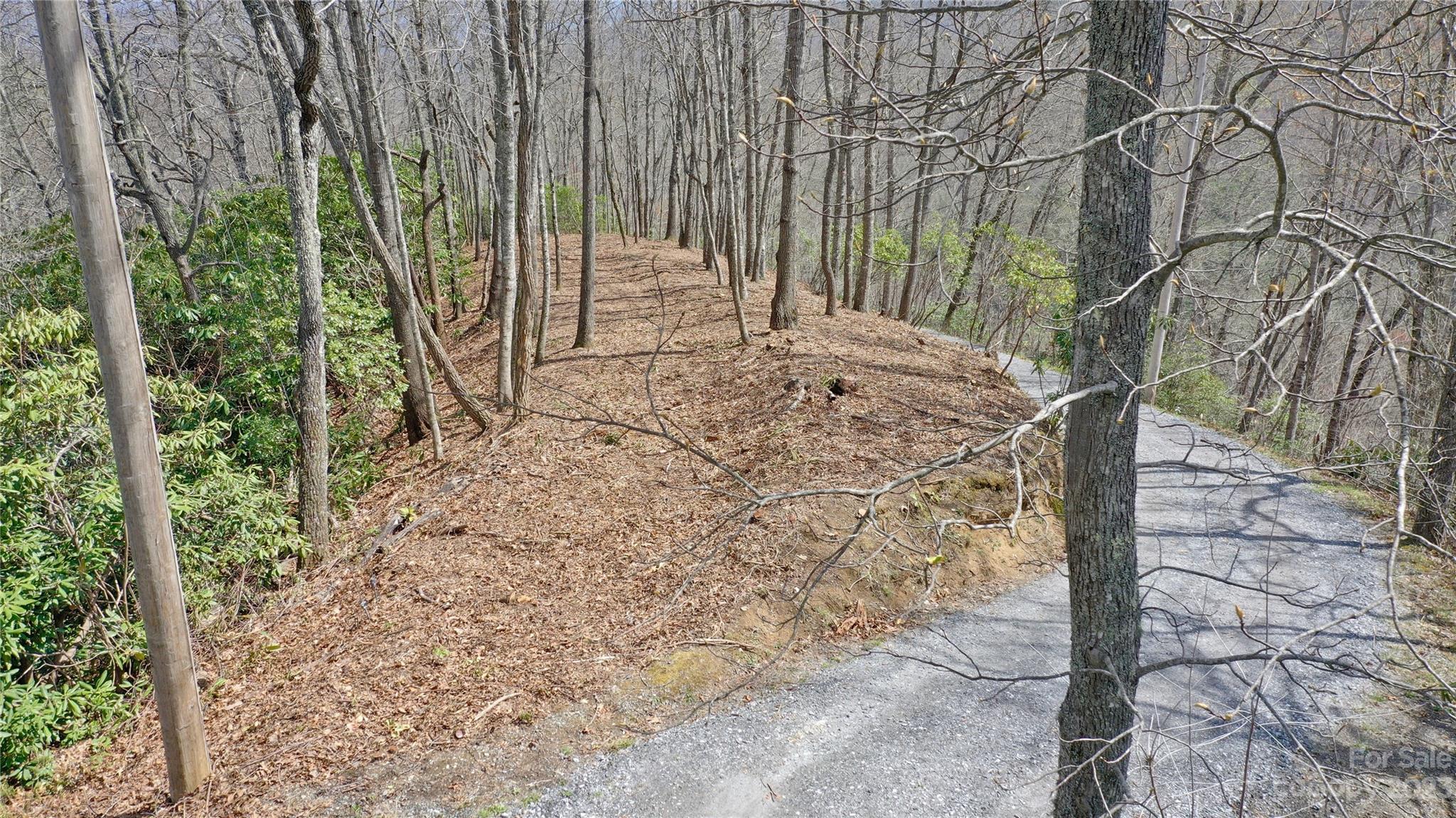 0 Cabin Ridge, Unit L & M Cullowhee, NC 28723 - Photo 5 of 13 Gallery Image 5