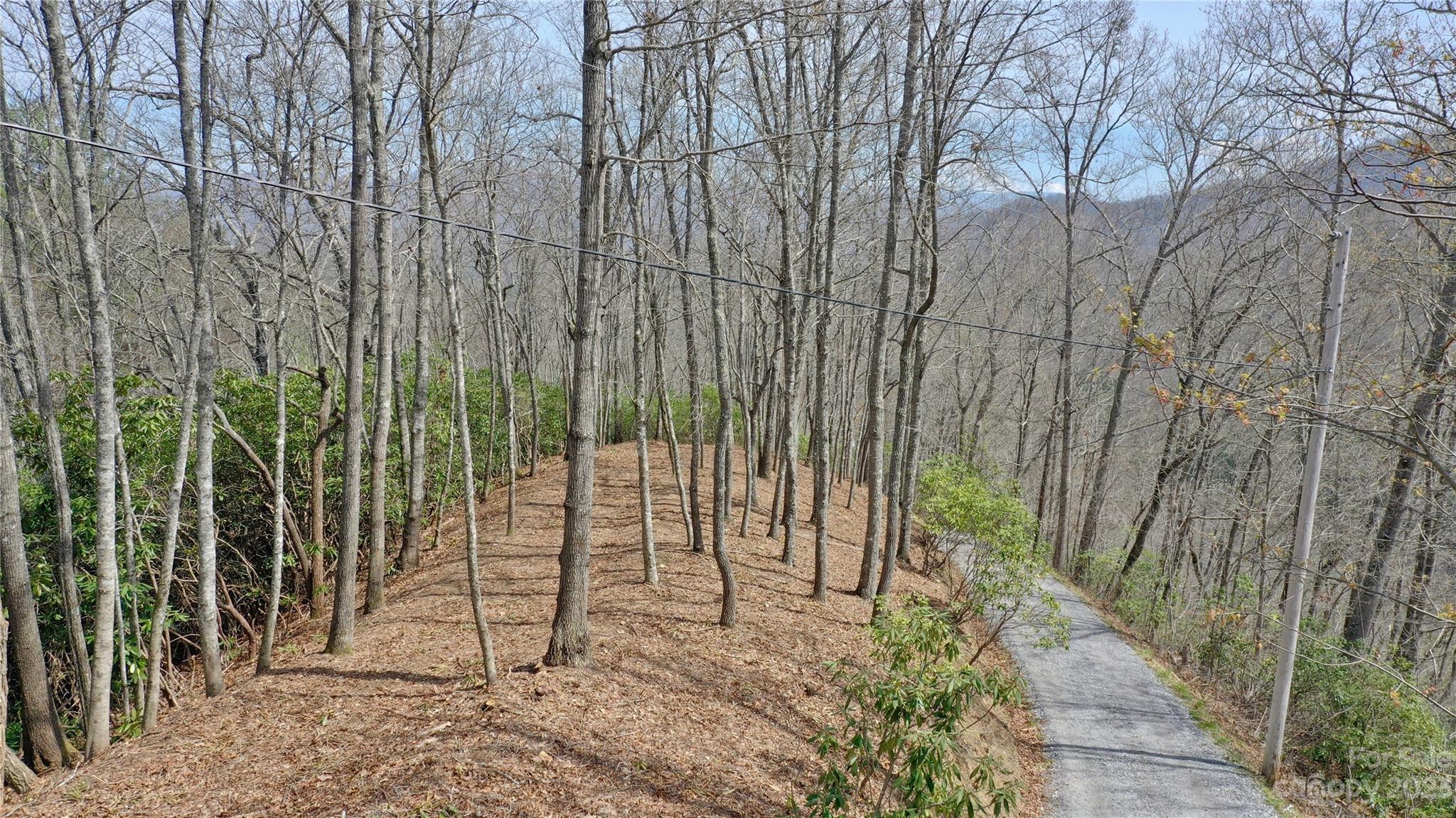0 Cabin Ridge, Unit L & M Cullowhee, NC 28723 - Photo 7 of 13 Gallery Image 7