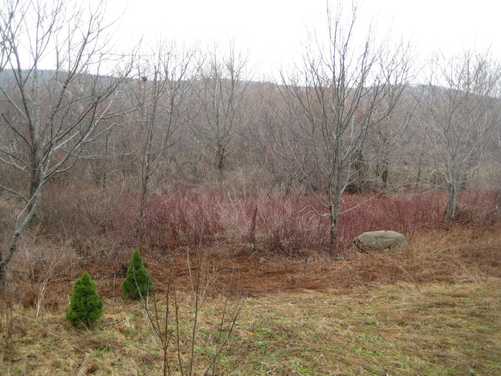 652 Old County Road Rockland, ME 04841 - Photo 13 of 24 Rear Yard