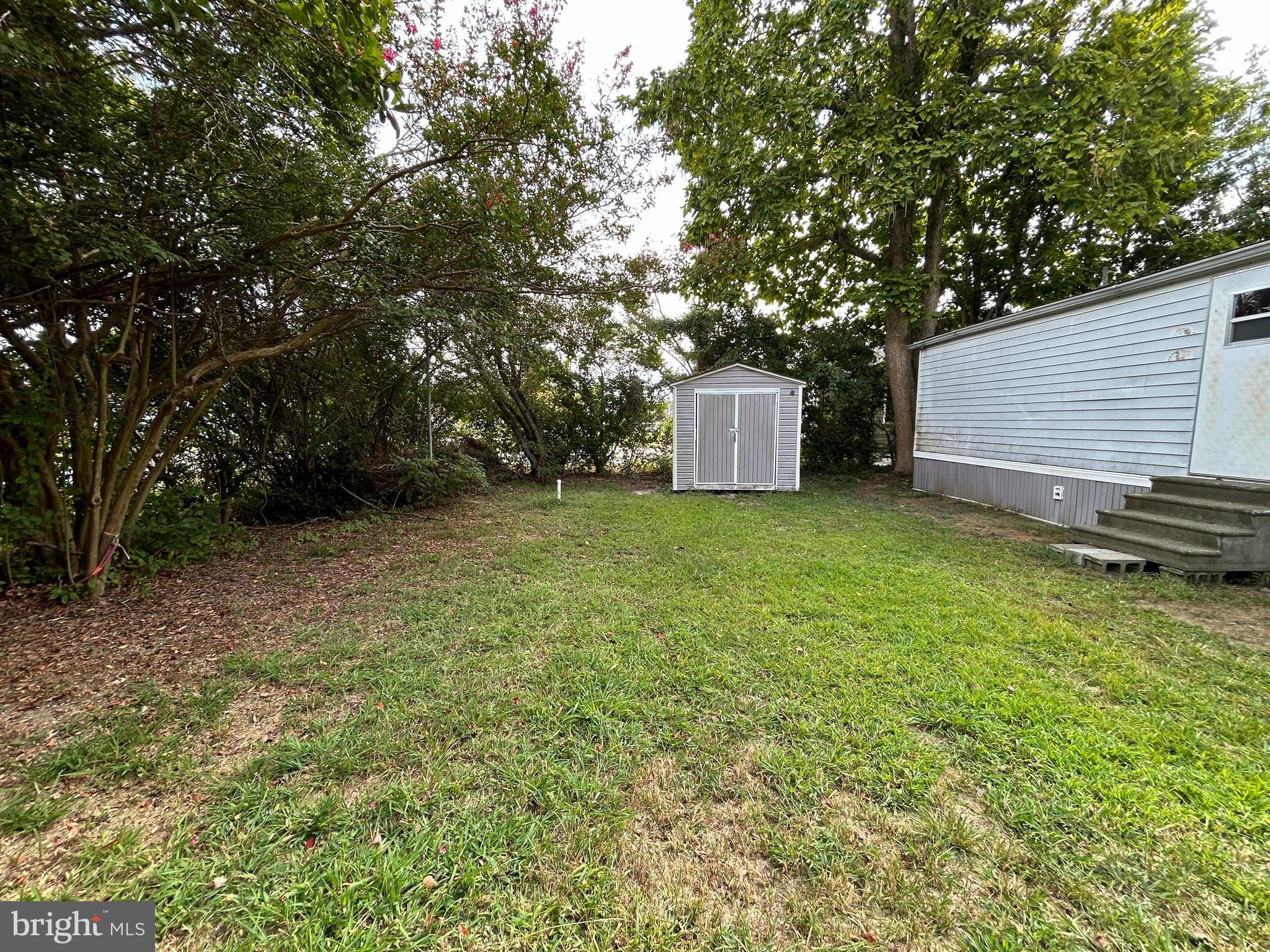 36392 Old Mill Road Ocean View, DE 19970 - Photo 21 of 26 Front Yard is private because of the lined trees
