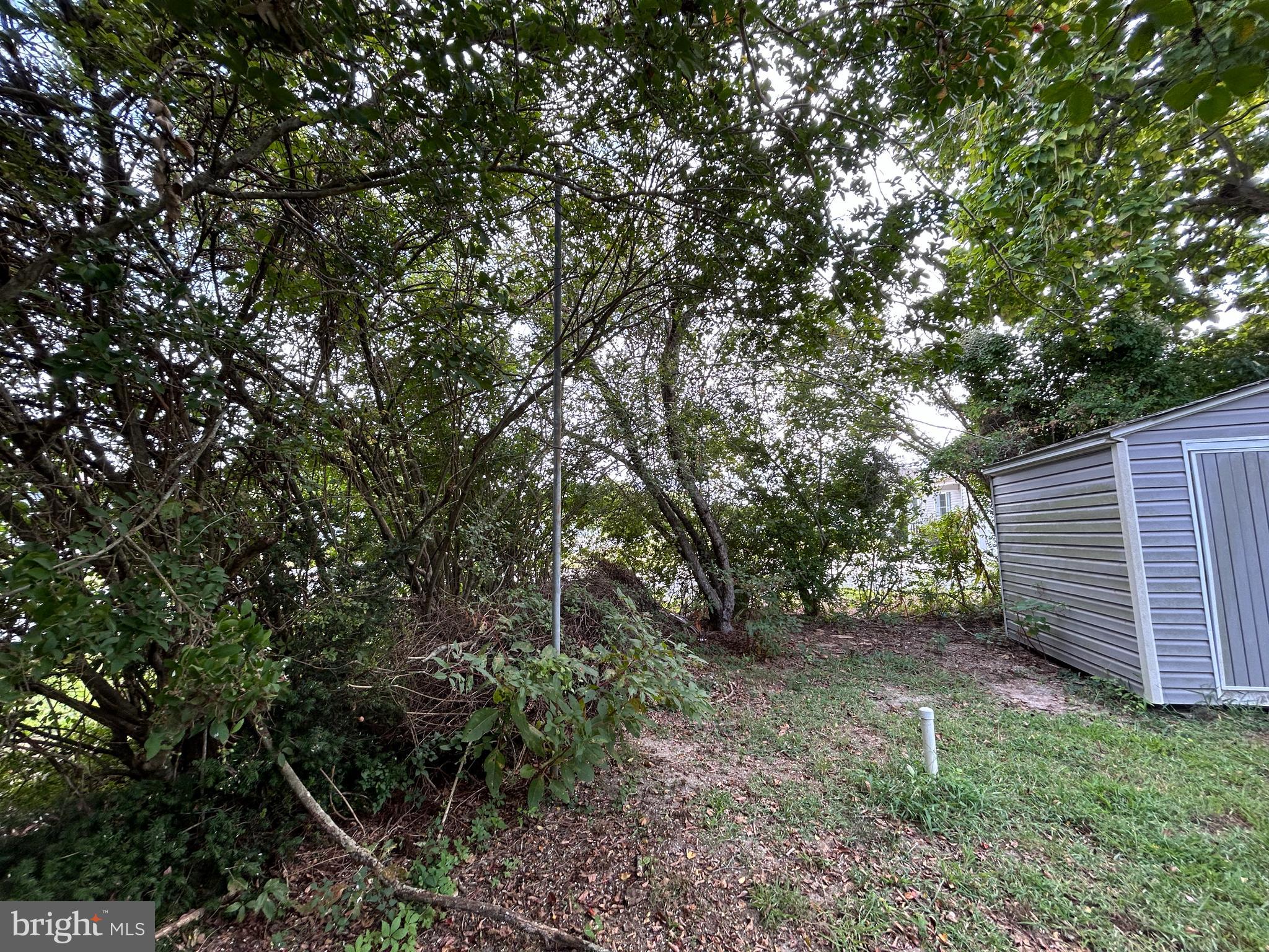36392 Old Mill Road Ocean View, DE 19970 - Photo 22 of 26 Use this older well for irrigation; consult profs.